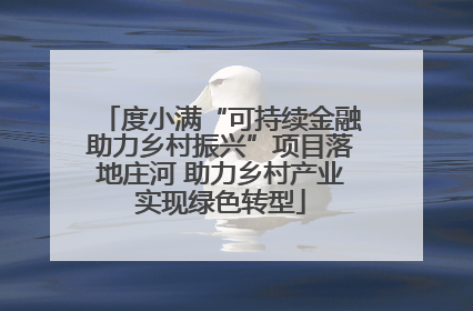 度小满“可持续金融助力乡村振兴”项目落地庄河 助力乡村产业实现绿色转型